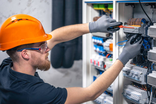 Best Electric Panel Repair  in Honeygo, MD